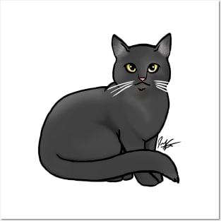 Cat - British Shorthair - Black Posters and Art